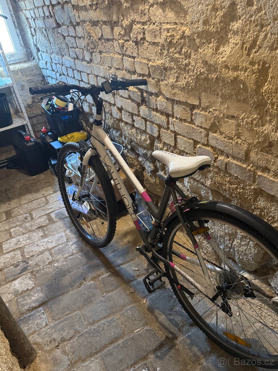 Pánské a dámské kolo - 2