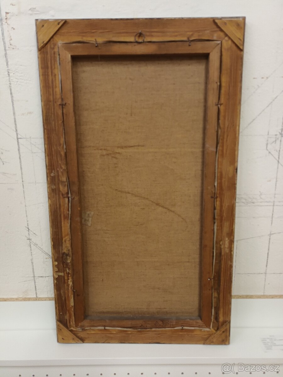 Obraz - Orel lovící kachnu - 2