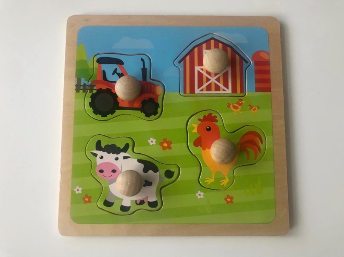 Dřevěné vkládačky a knížka Lev Lumba - 2