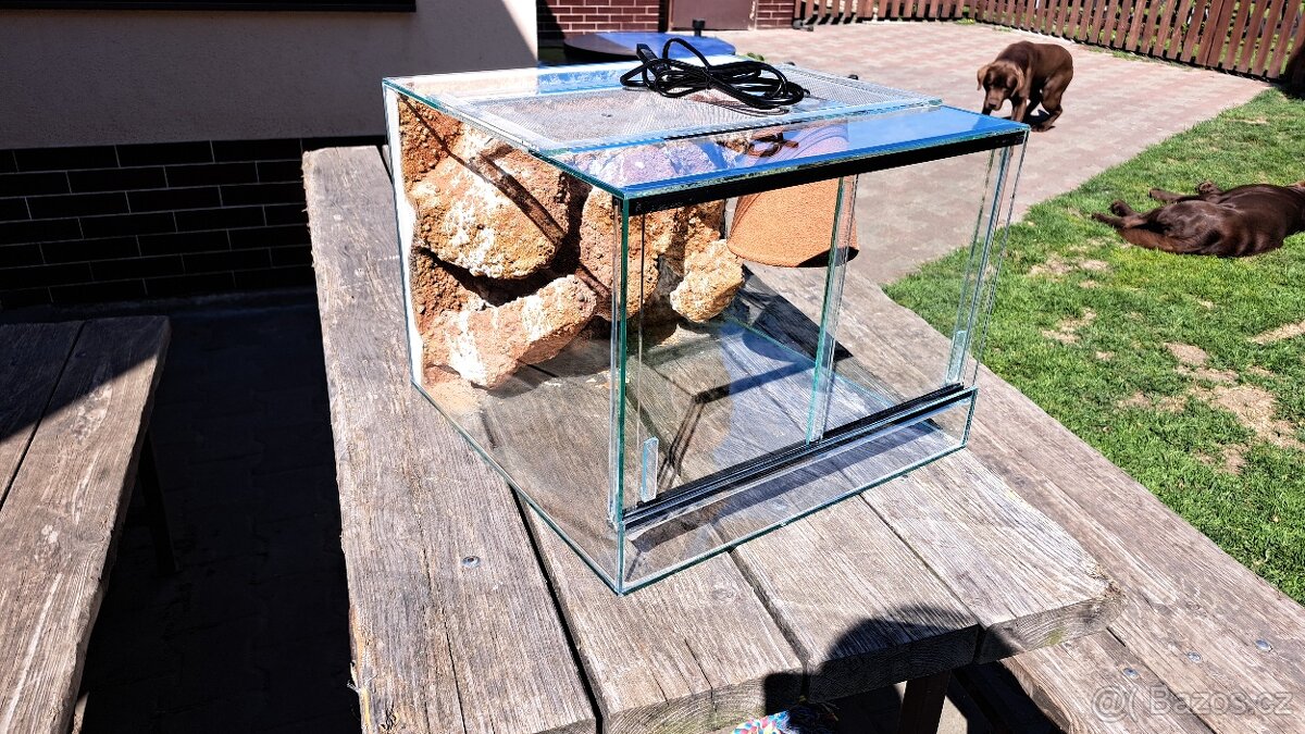 Terarium - 2