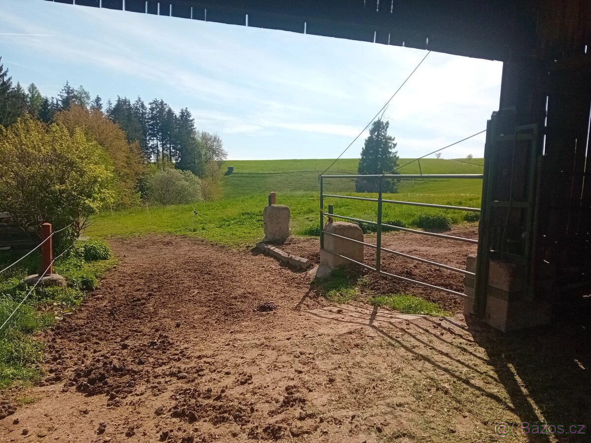 Pastevní ustájení - 2