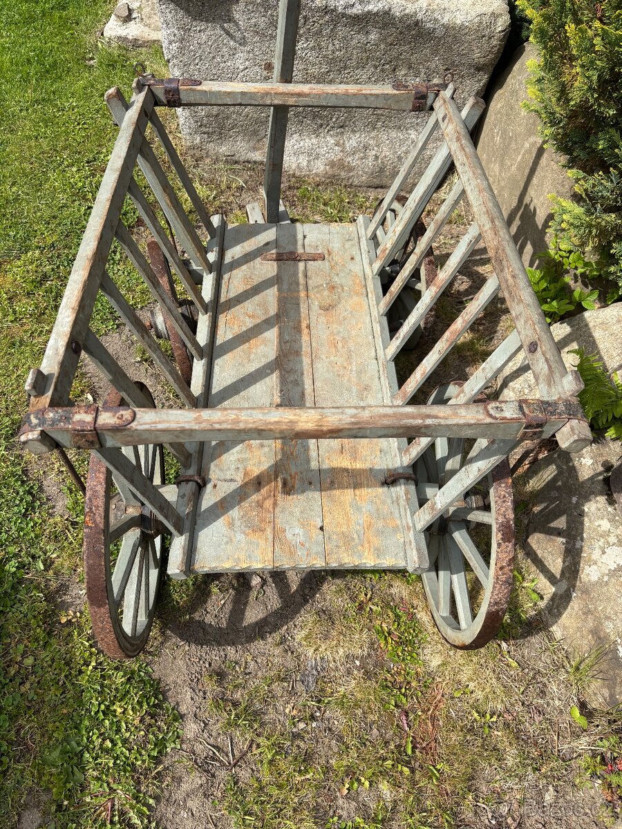 Starožitný žebřiňák - 2