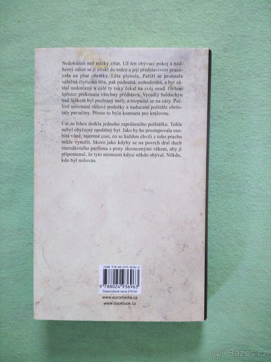 Ella Careyová, Uzamčená minulost - 2