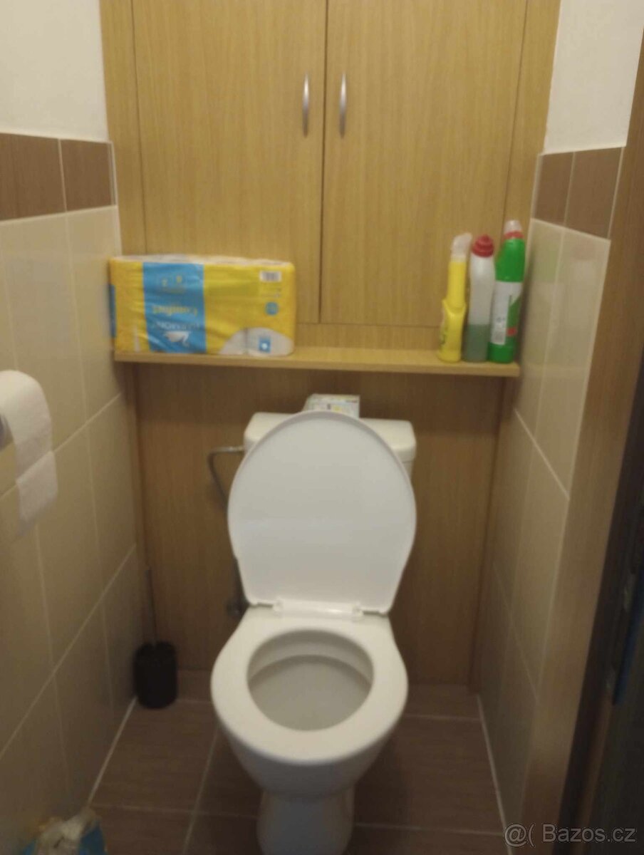 Pronajen Opava kylesovice - 2