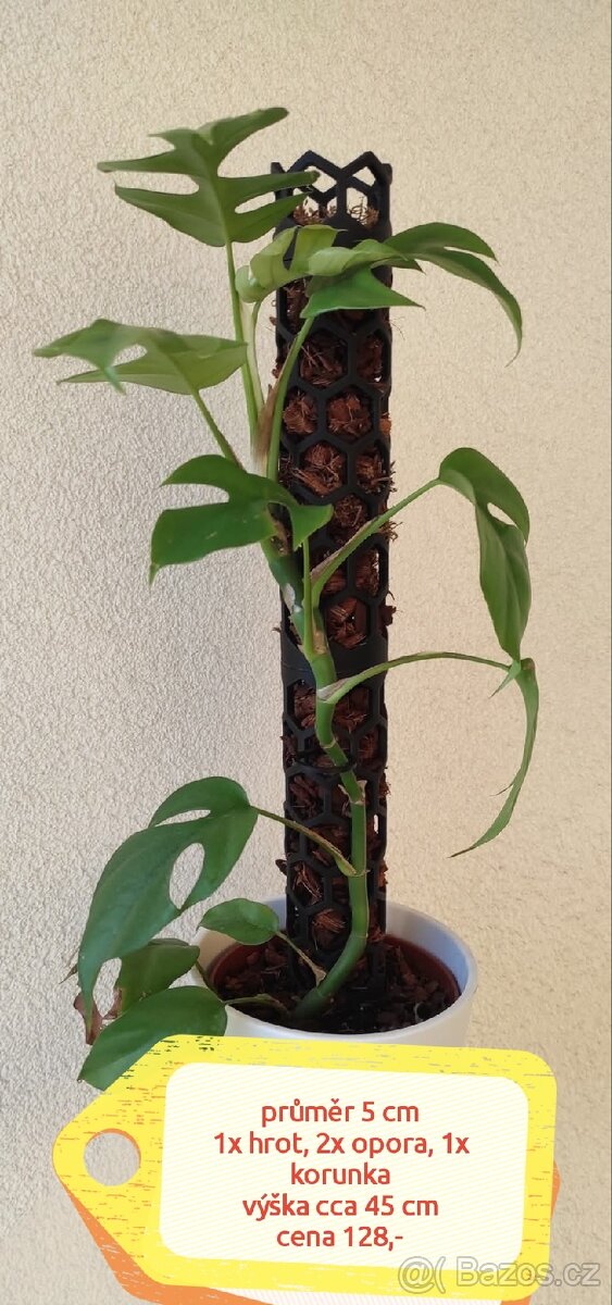 Rašeliníkové opory pro rostliny - 2