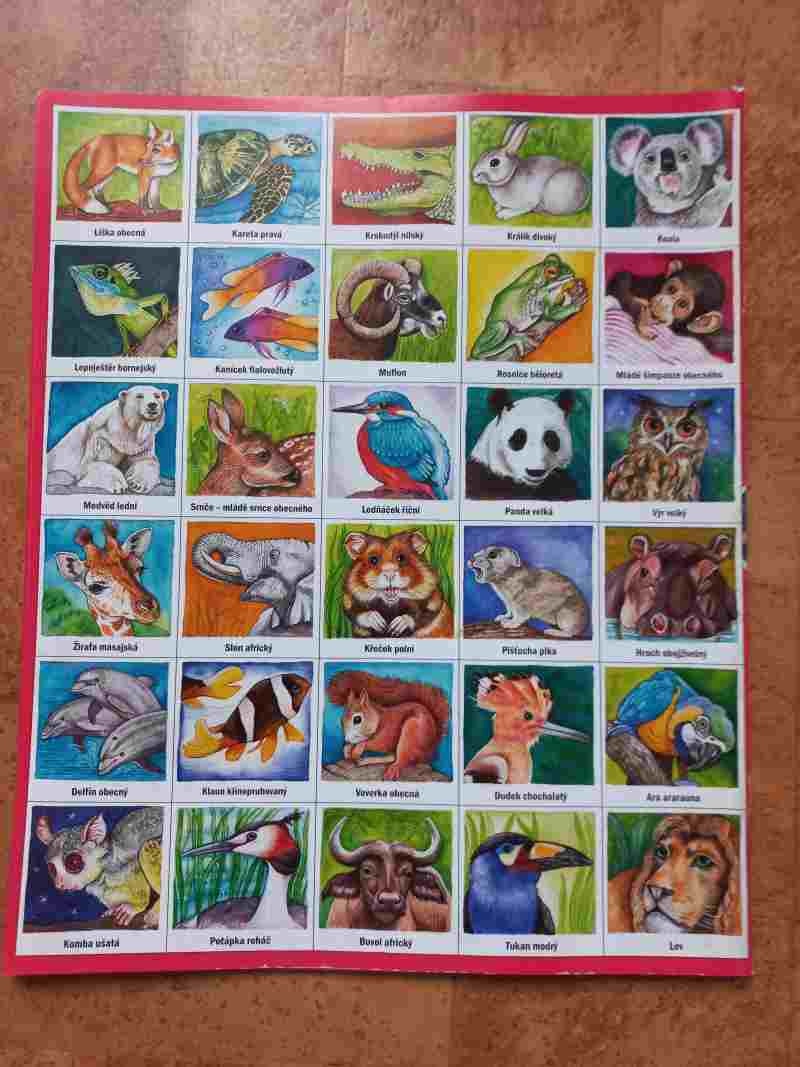 PEXESO , /Hr38/ , - 2