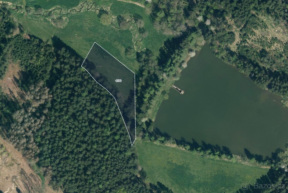 Louka, prodej, Kamberk, Benešov - 2