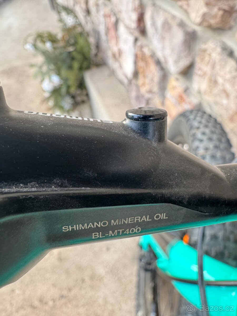 Scott Roxter 20” - 2