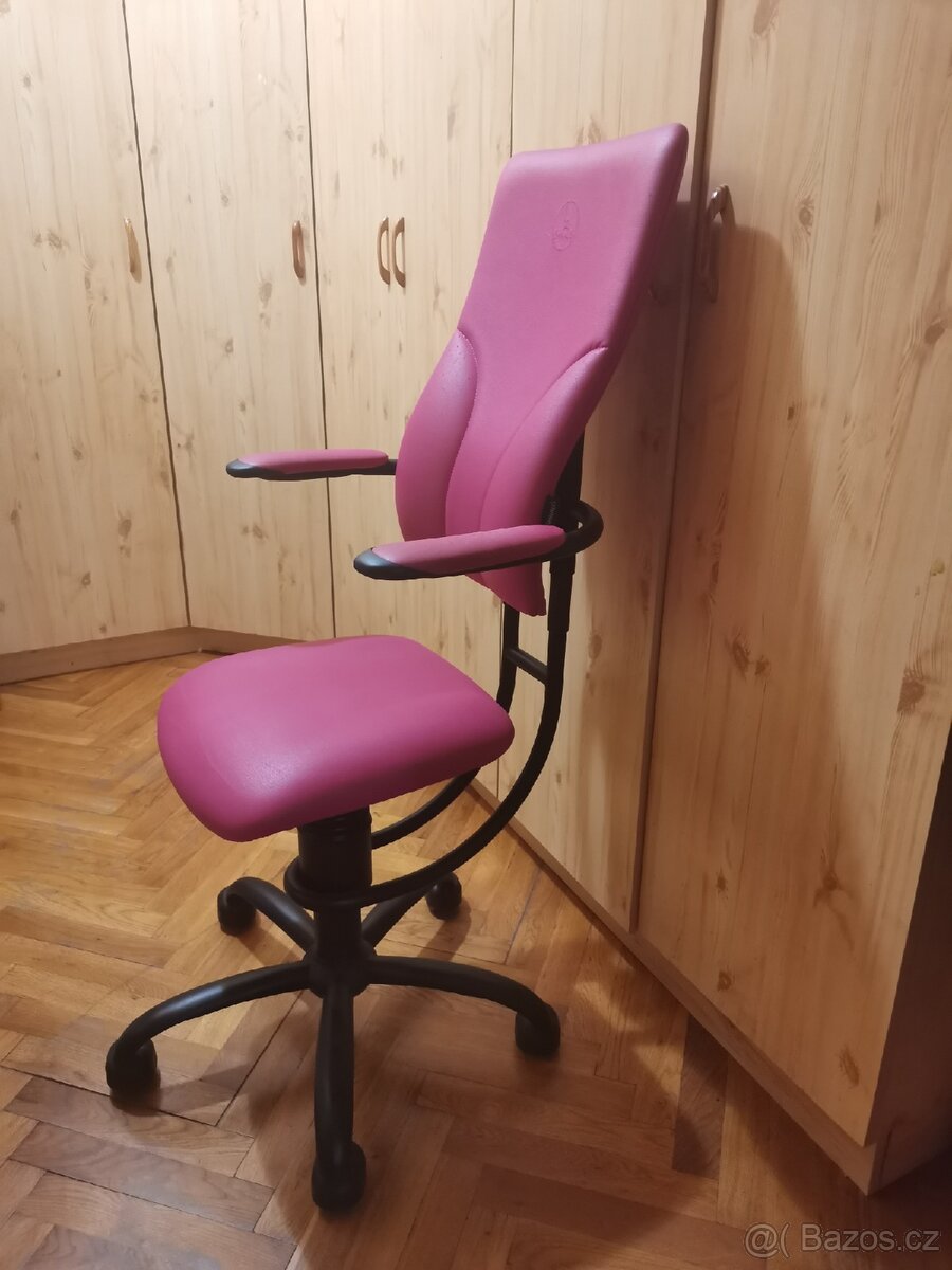 Ergonomická židle SpinaliS Apollo - 2