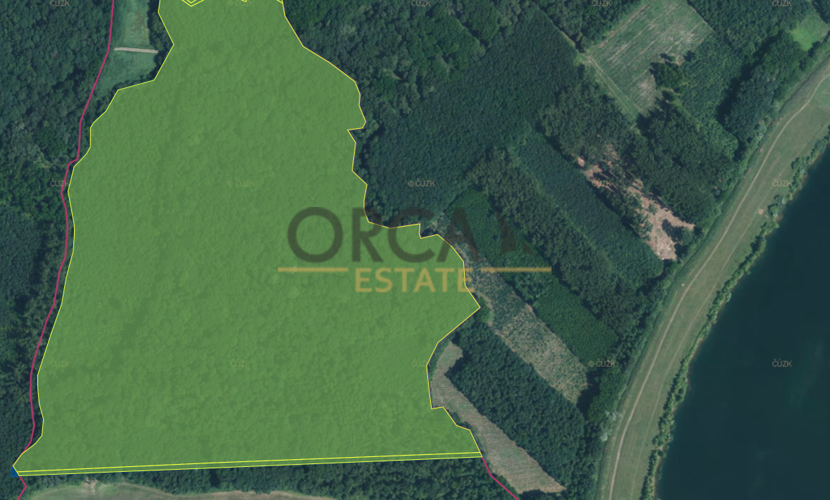 prodej singulárních lesů, příslušná výměra 58 008 m2 - 2