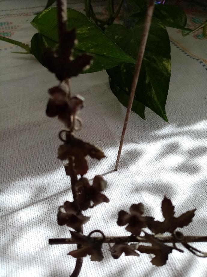 RETRO RÁMEČKY NA FOTO - 2