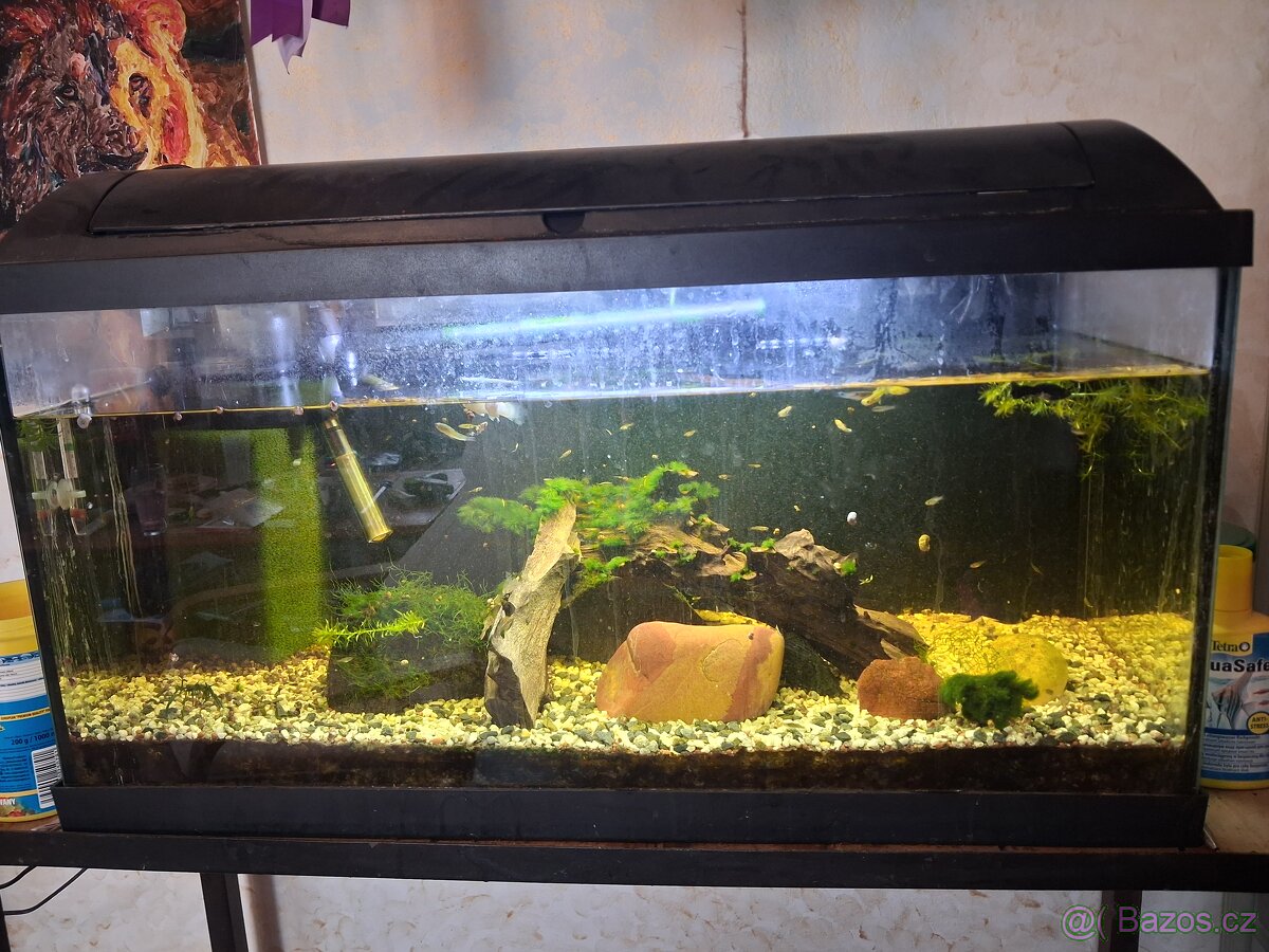 Akvarium 100l - 2
