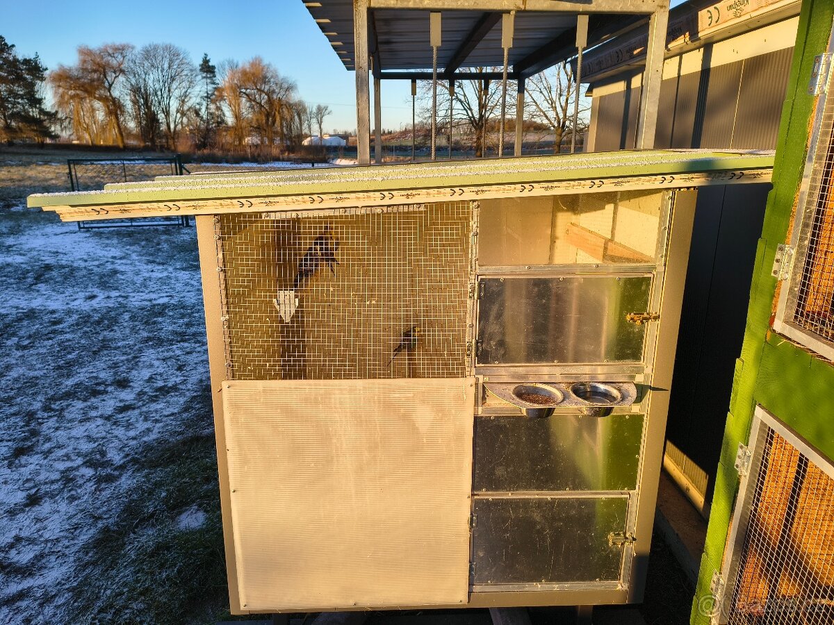 Prodám andulky s klecí - 2