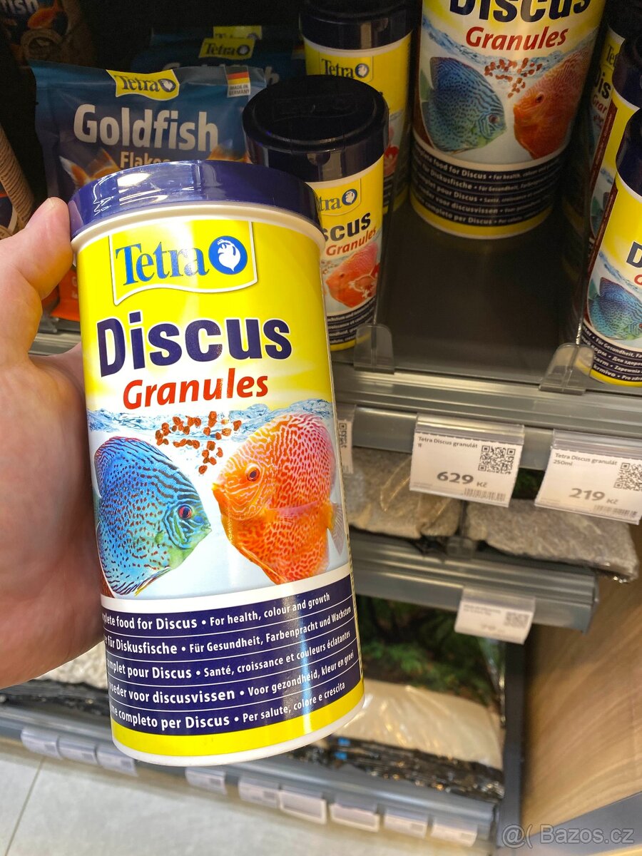Tetra discus - na váhu - 2
