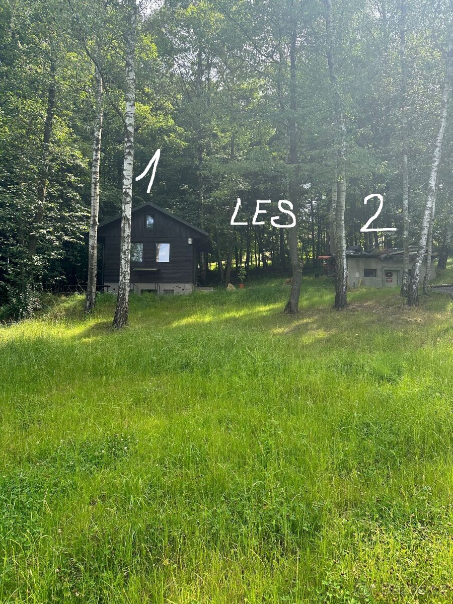 Prodej chaty u lesa - 2