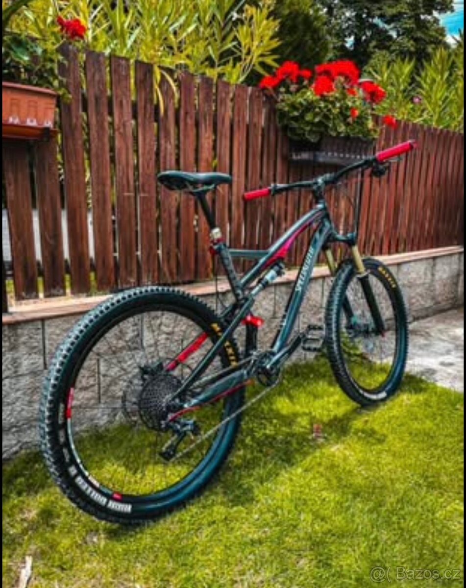 Specialized camber expert celoodpružené - 2