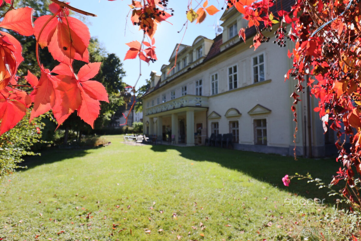 Pronájem reprezentativní kanceláře, 27m2, Praha 6 - Bubeneč, - 2