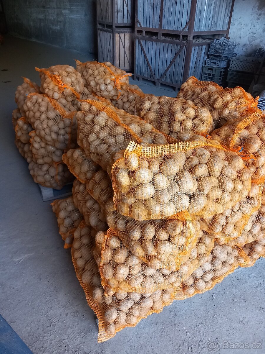 Prodám konzumní brambory Adéla - 2