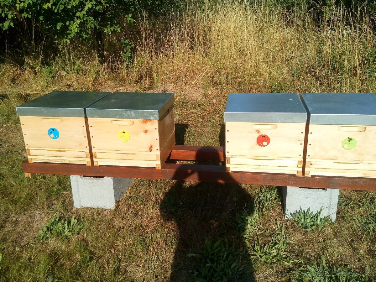 Vyzimovaná včelstva - 2