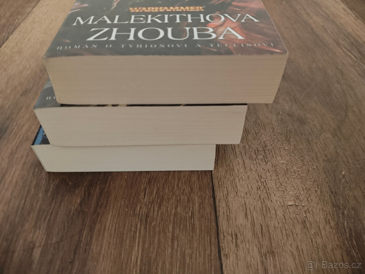 Warhammer - Tyrion a Teclis - 2