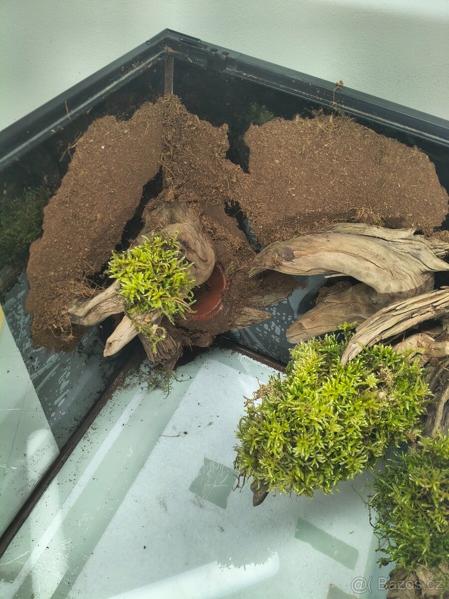 Terarium 60x45x45 - 2