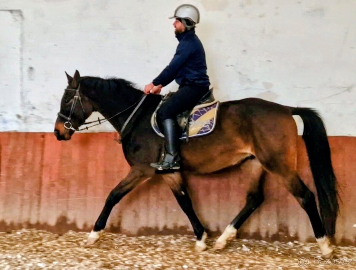 Valach ČT nar.2022 - 2