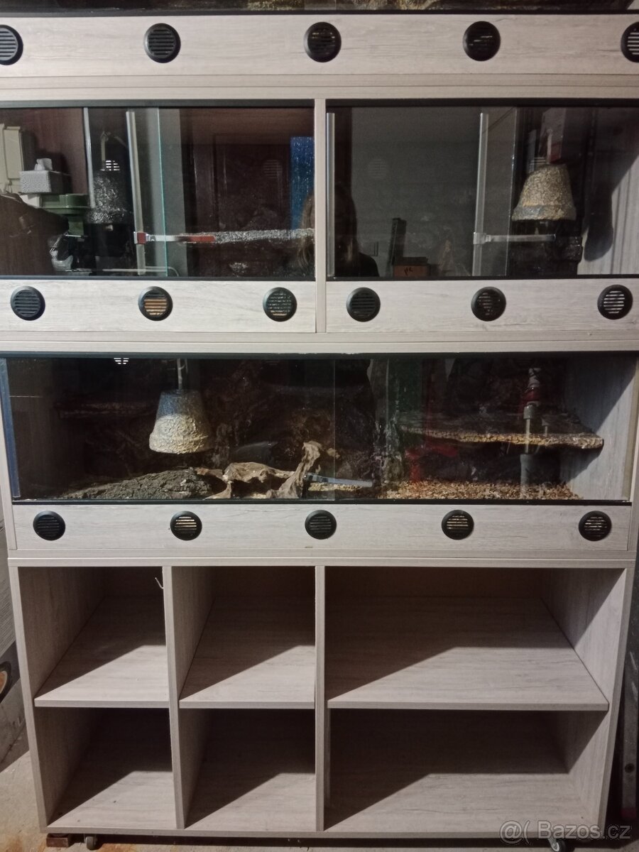 Terarijní stěna - 2