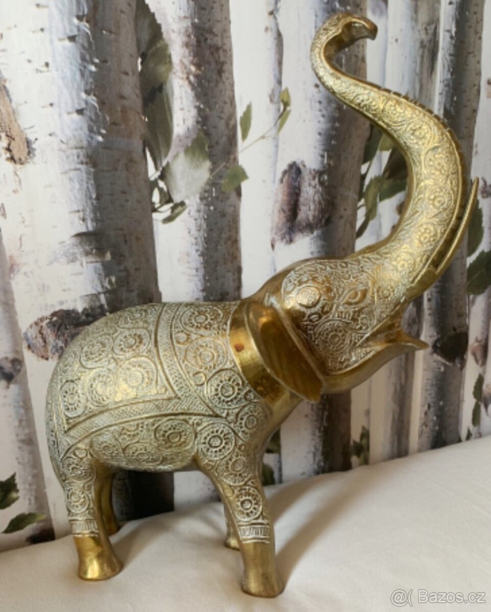Slon mosazný - 2