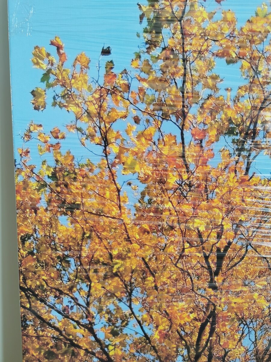 Tisk na plátno, obraz, 70x100 cm - 2