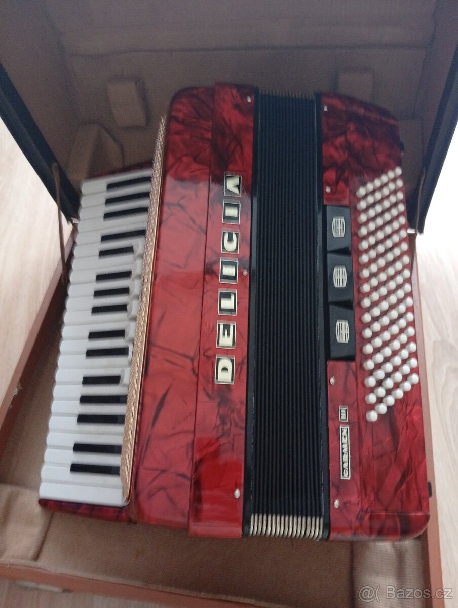 Akordeon Delicia carmen lll - 2