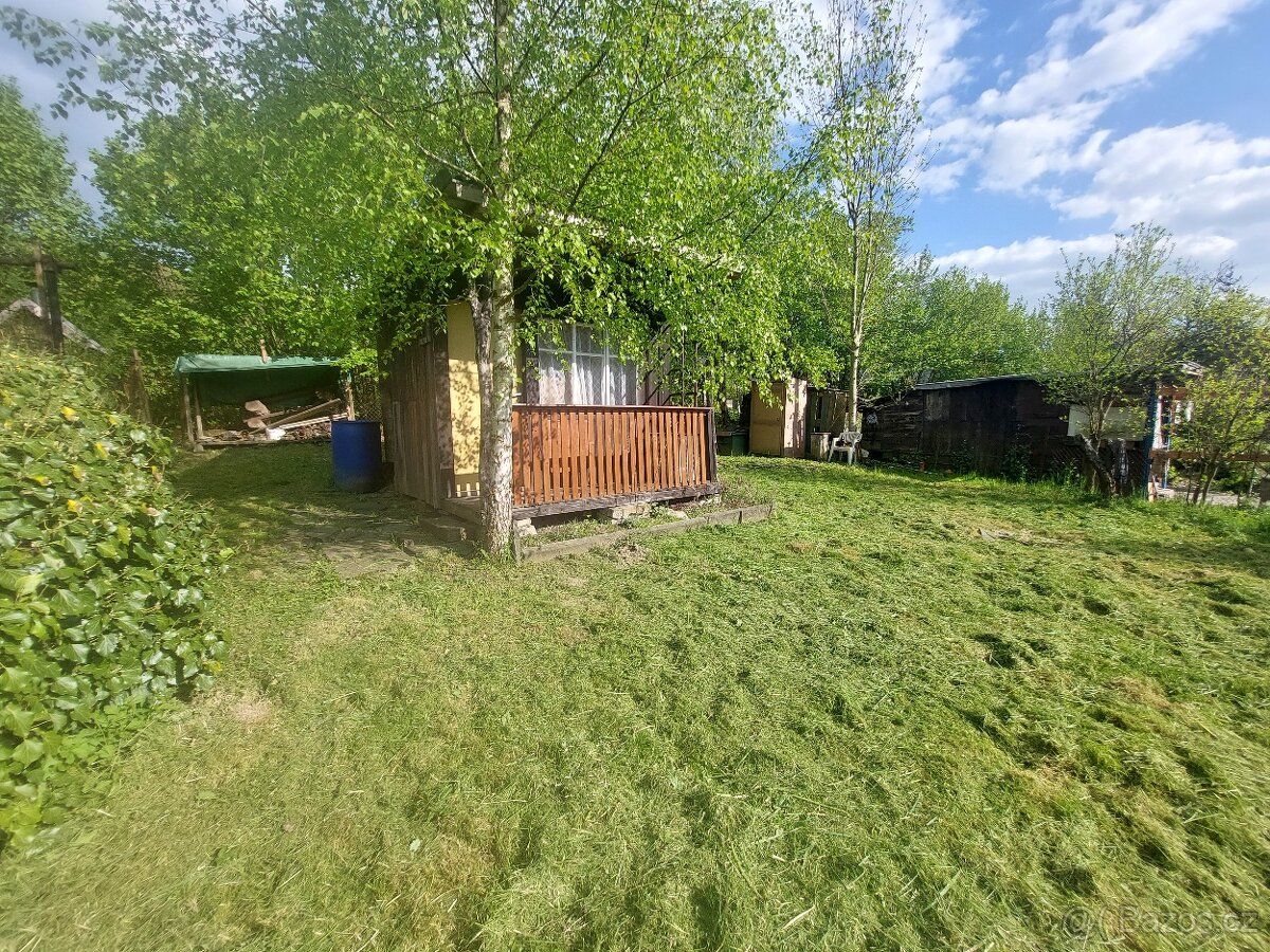 Pronajmu zahradu s chatkou - 2