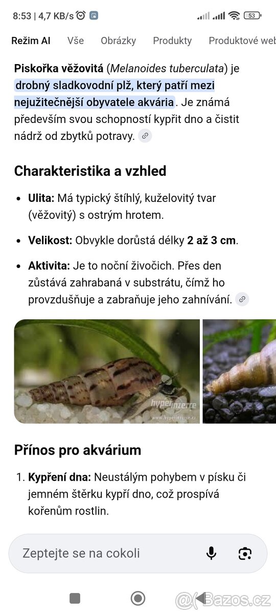 piskořka věžovitá - 5,- /ks - 2