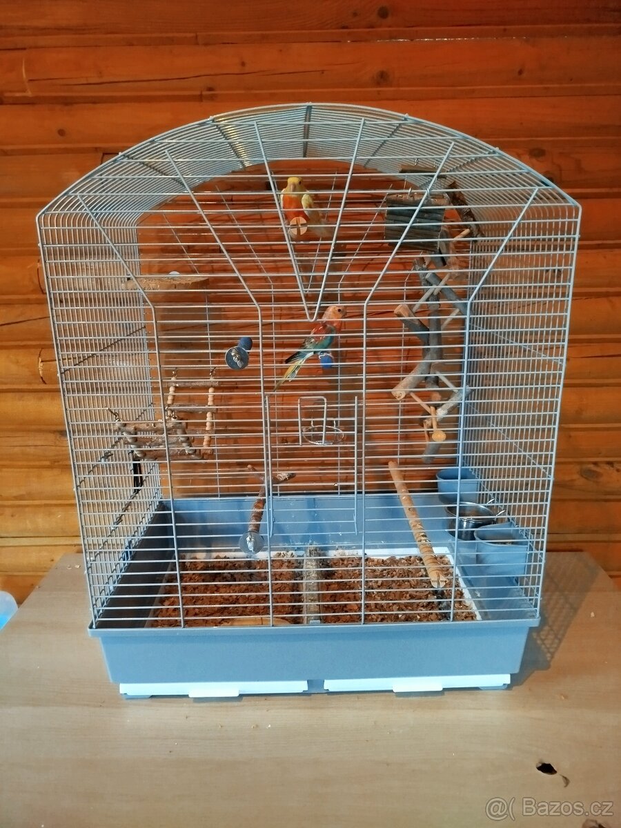 zpěváci - 2