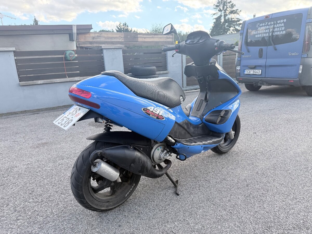Benelli 491 RR - 2