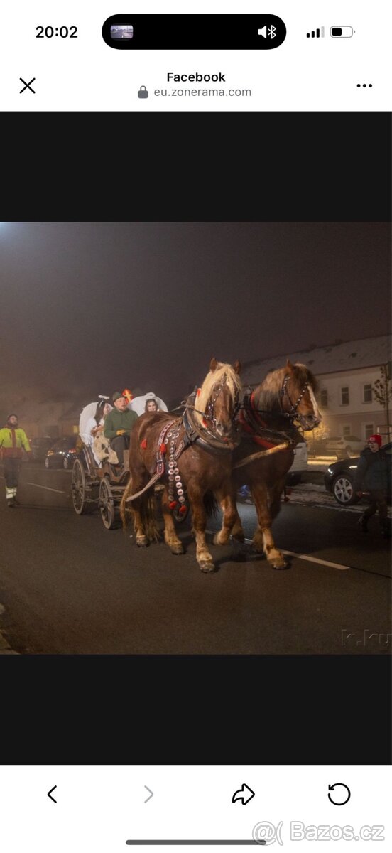 Prodám Valacha ČMB - 2