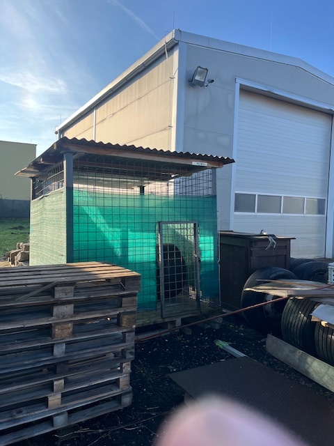 Kotec s boudou pro psa - 2