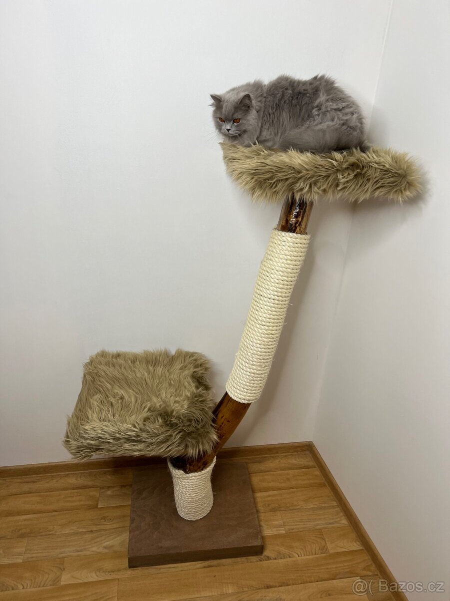Kočičí strom - 2