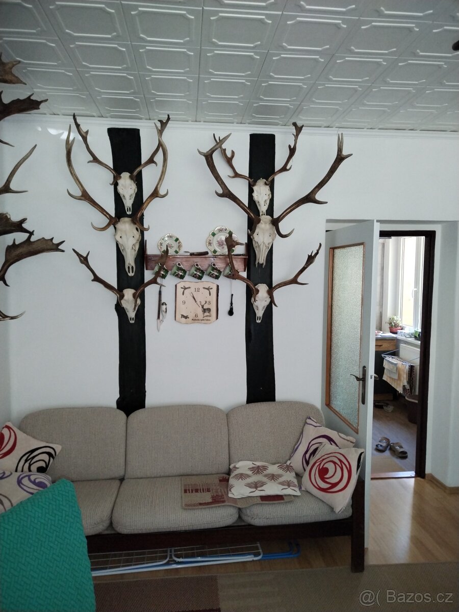 Paroží - 2