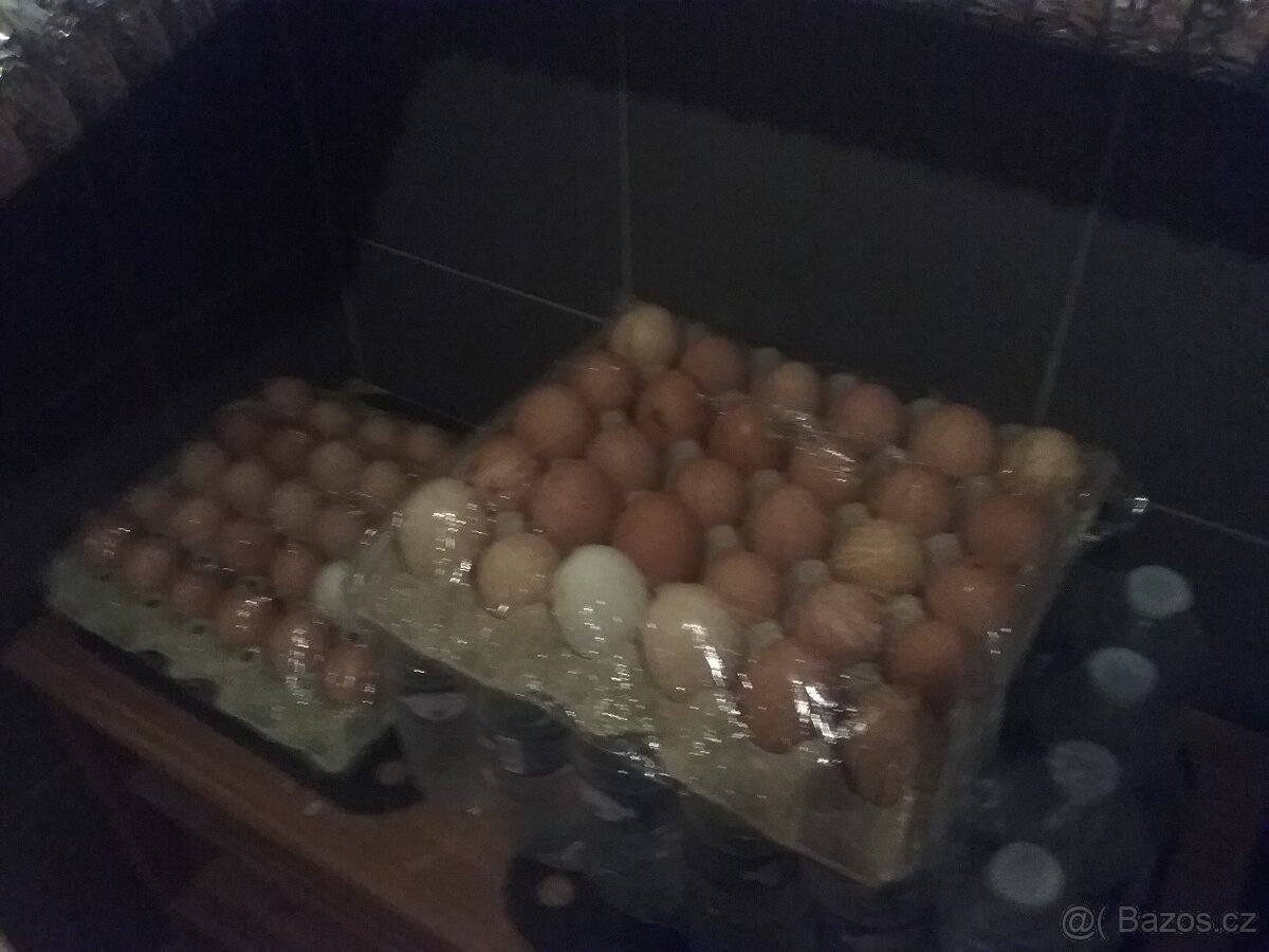 Domácí vajíčka Ledeč nad Sázavou - 2