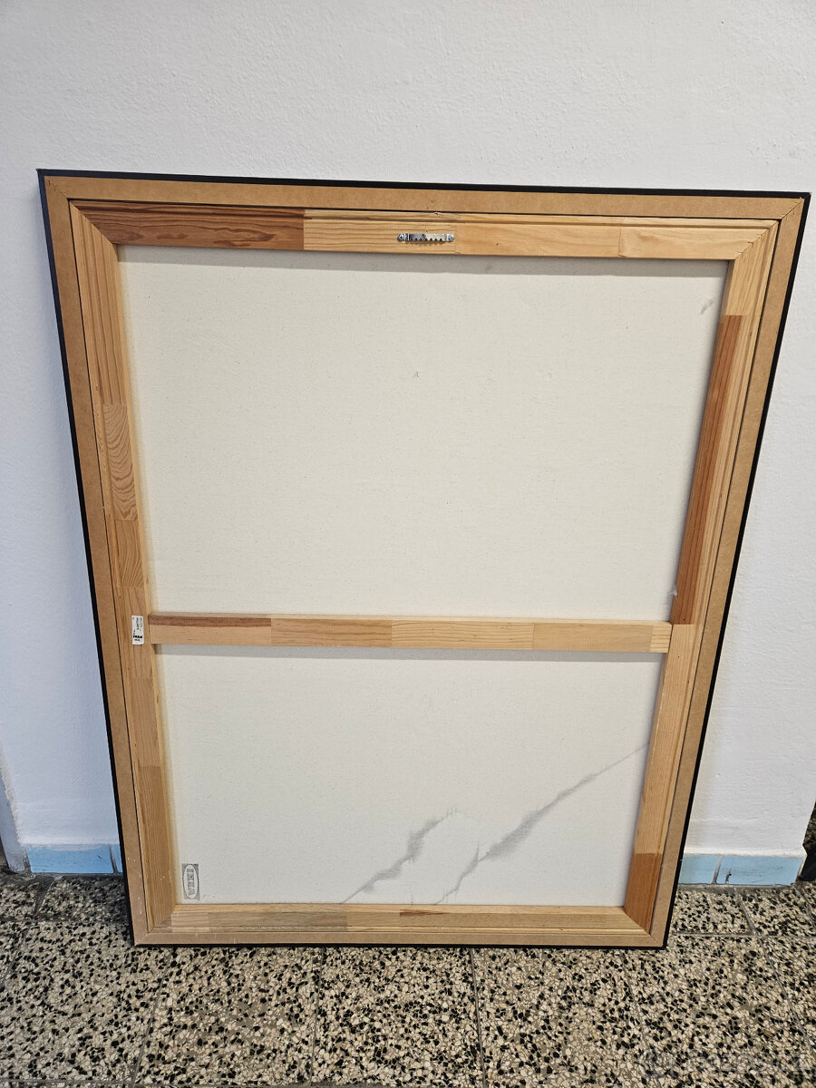 OBRAZ IKEA - HALLARYD - 2