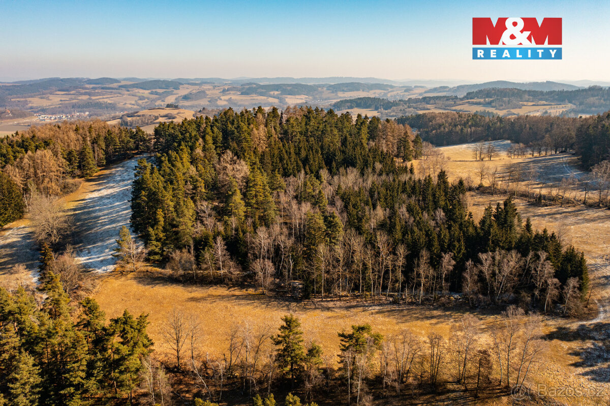 Prodej lesa, 42761 m², Nišovice - 2