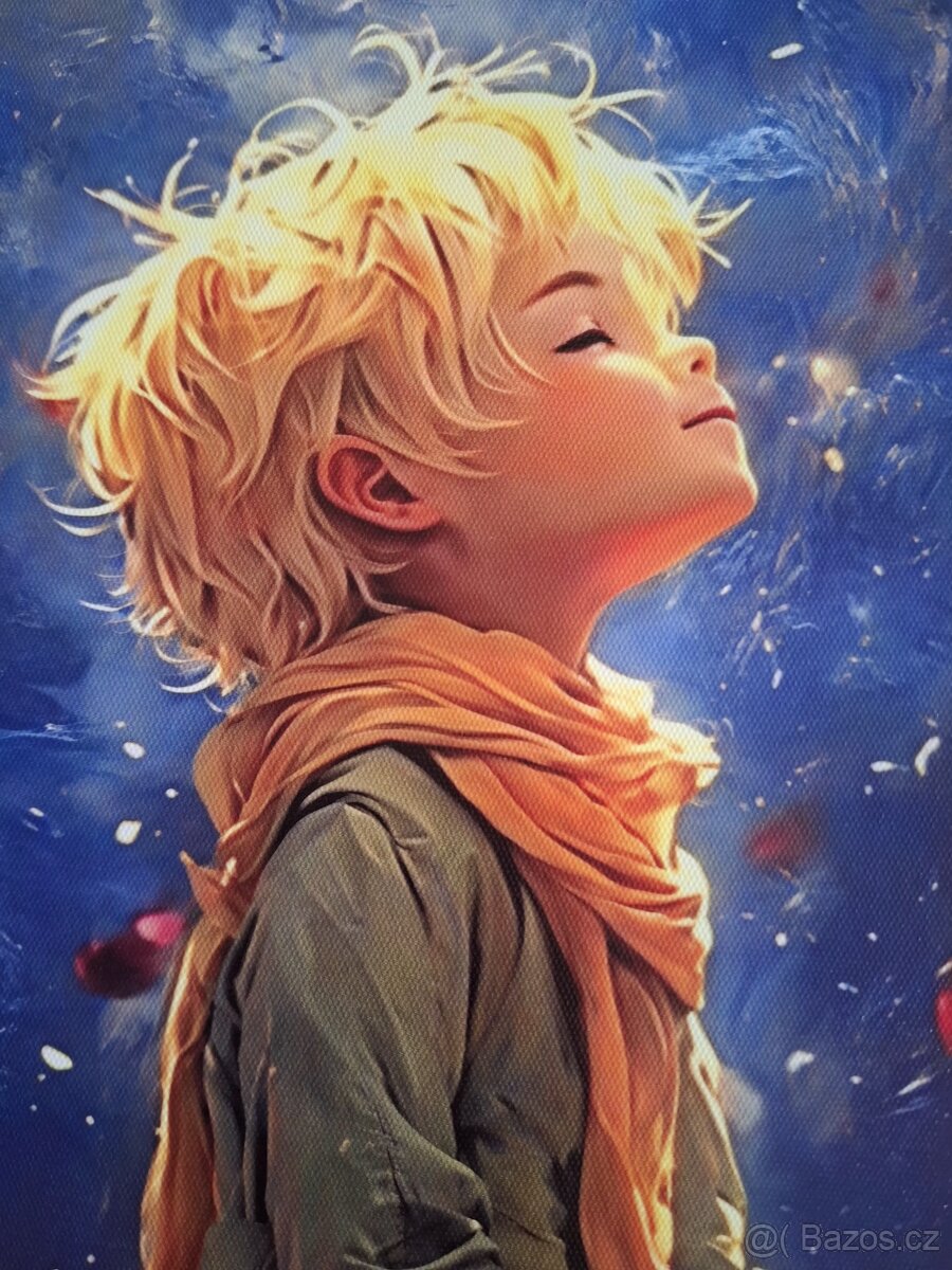 Malý princ na plátně 30x40cm - 2