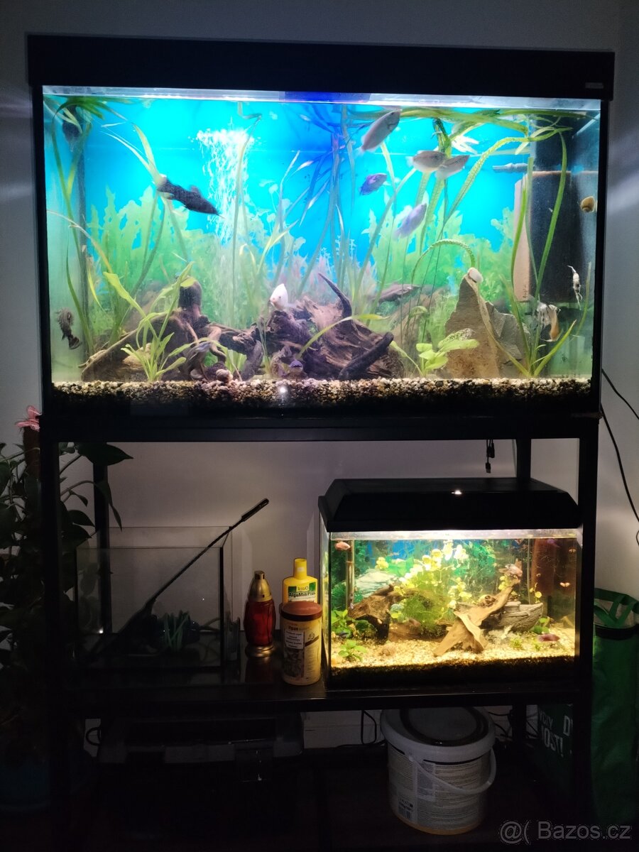 Prodám akvárium - 2