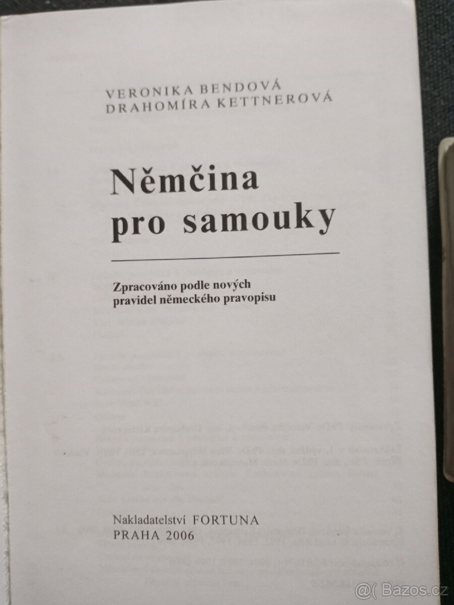 Němčina pro samouky + slovník - 2