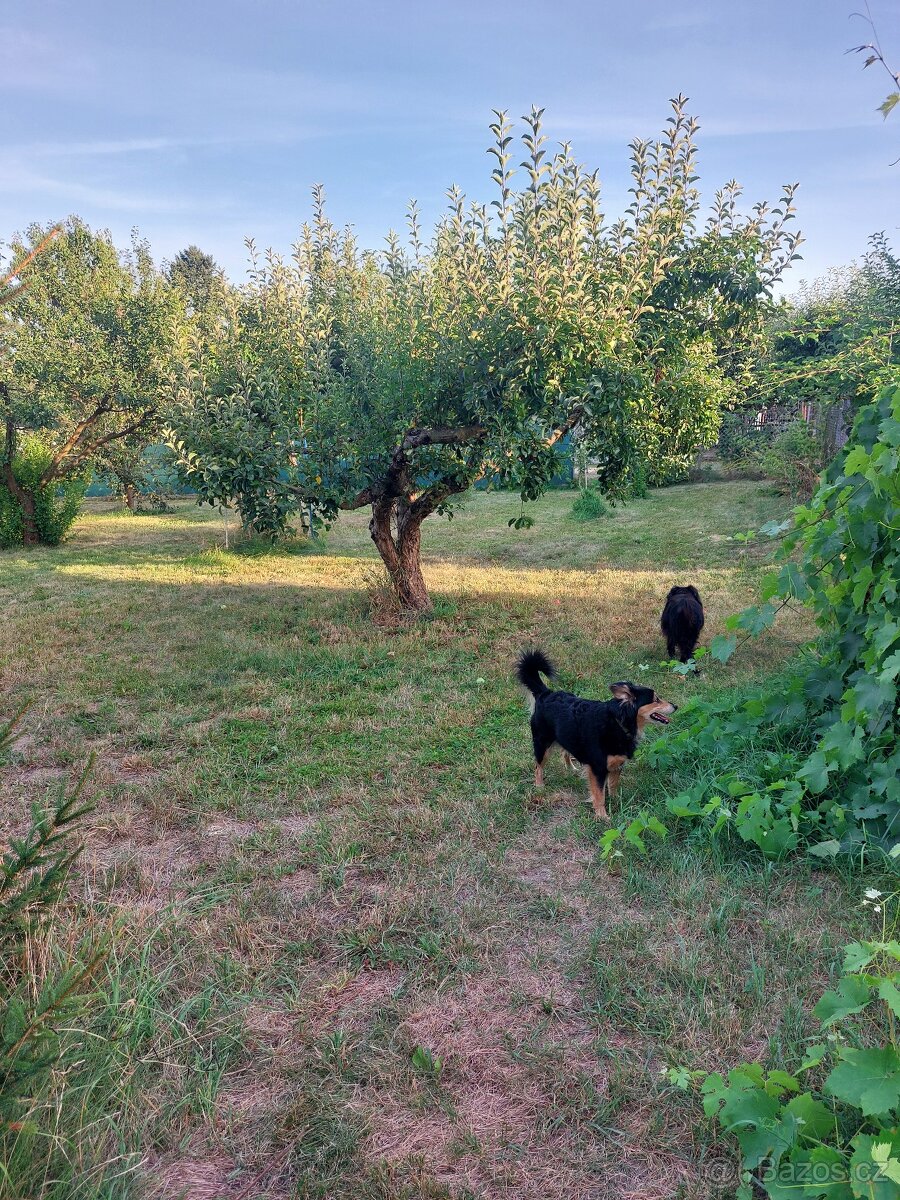 Prodej stavebního pozemku Blatná, možno 2 parcely - 2