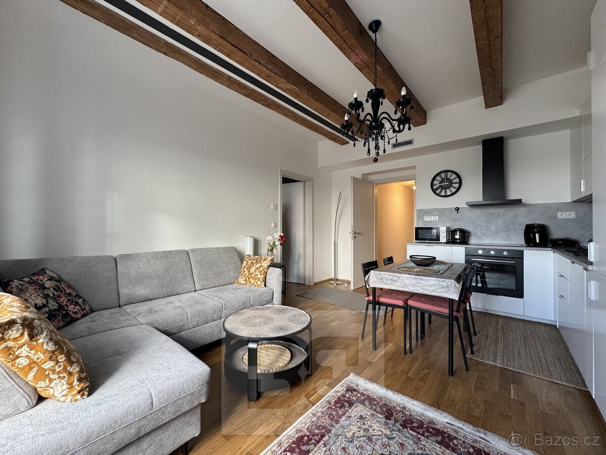 3+kk Apartment in Brno, Veveří - View 2