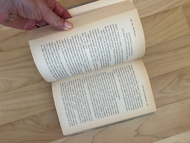 Kniha "Šifra Mistra Leonarda", top stav - 2