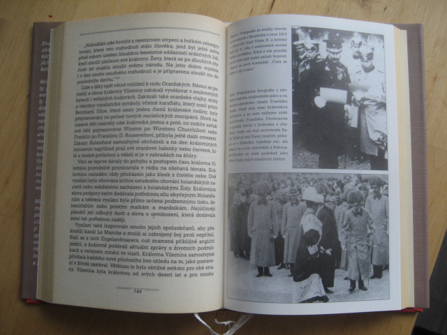 Kniha Válka a Evropské královské rody - 2