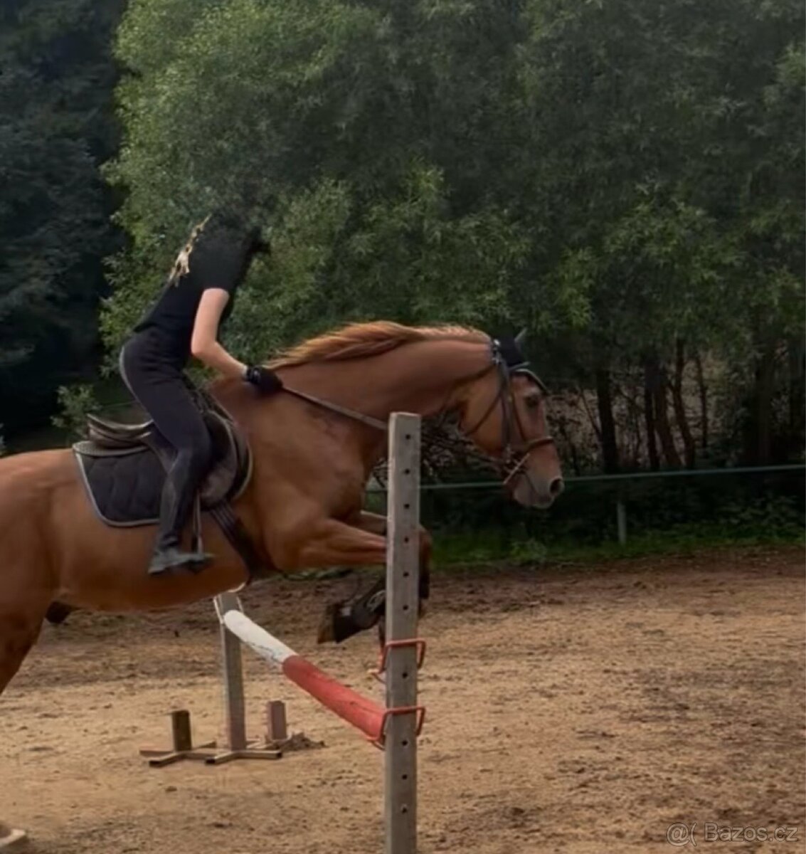 Valach ČT 19 let - 2