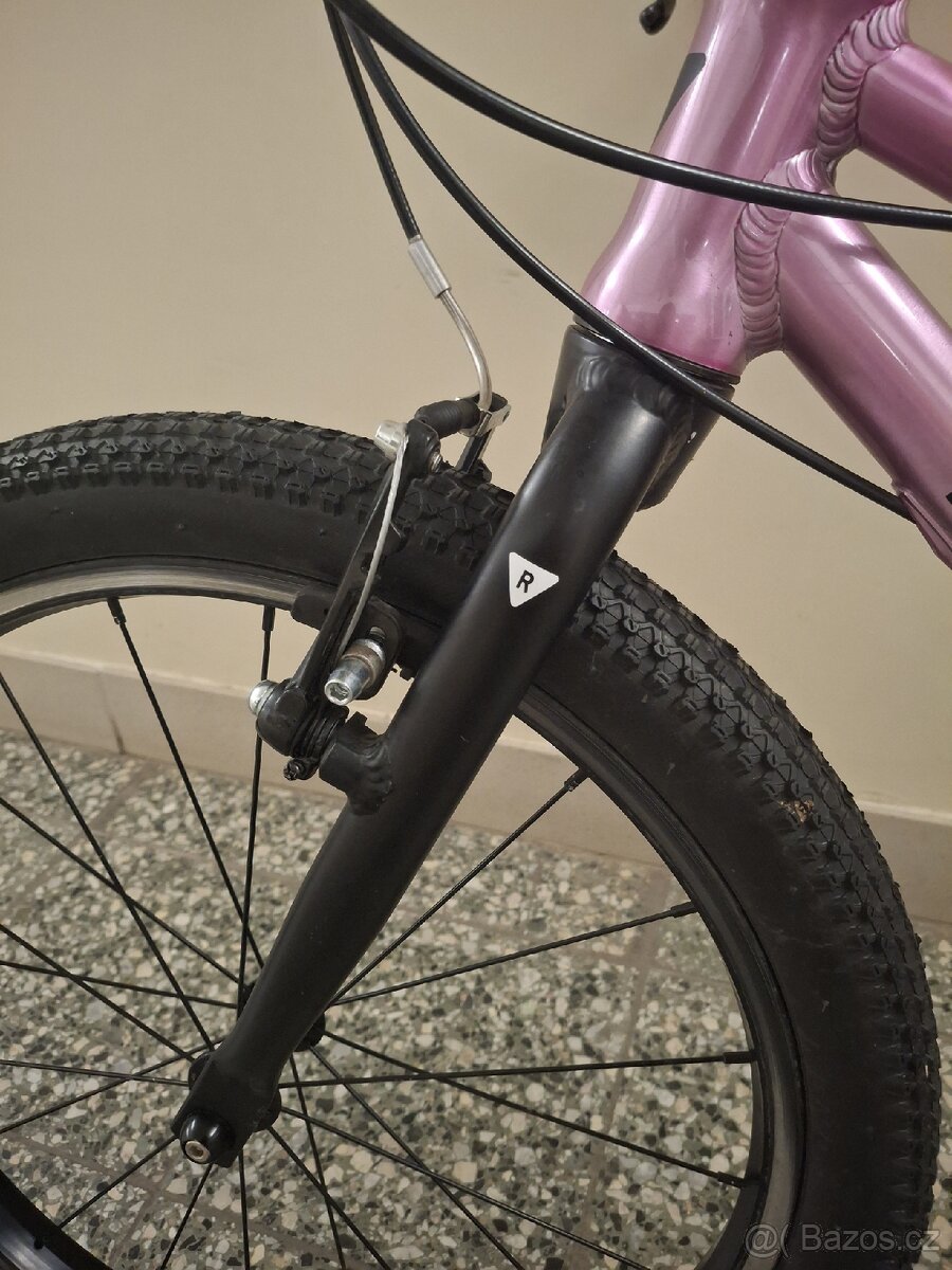 Rascal 20" růžové - 2